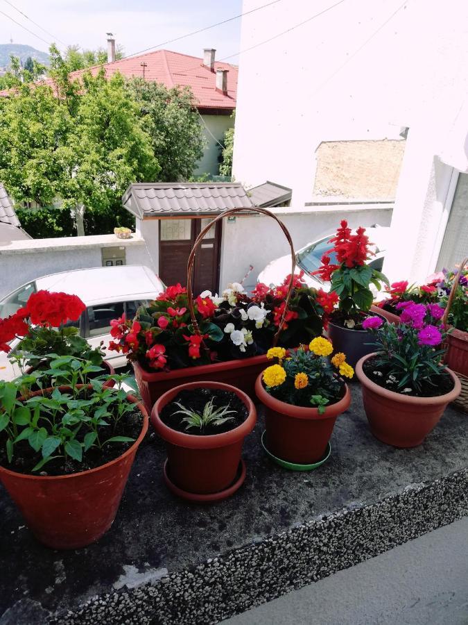 Apartman Ohren Сараєво Екстер'єр фото
